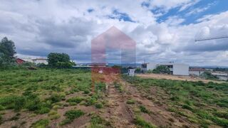 -290876210_46b111c2-e562-44f9-9fcd-a44c8d8ce069.jpg
