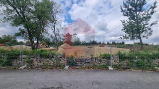 -290876210_dfa1b917-4ad2-4795-bf8d-aec9c493825e.jpg