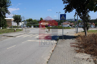 -290941935_ce37d991-9a76-4ee5-a0cc-5c5cdd404fdc.jpg