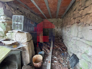 -290945110_d0cdc01a-116b-4230-8a81-075e32f61270.jpg