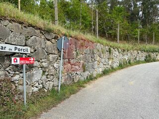 -290991523_b7781157-3deb-4bc8-baf4-e7fa6208980f.jpg