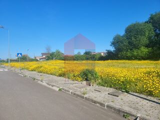 -290997918_0a0f98ac-eaa3-4230-ae01-b4c35c91e5f5.jpg