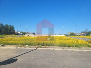 -290997918_4a00fdbb-b6be-4943-95d1-779fe95781ed.jpg