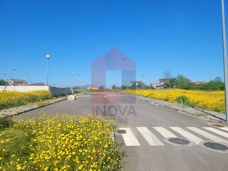-290997918_966223cc-6ddf-470d-b1d9-5bf47f7b40cd.jpg