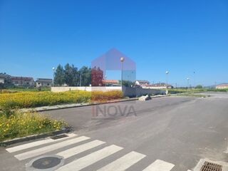 -290997918_9c46b660-0db4-41d8-a1b8-56c7df0ad9f0.jpg
