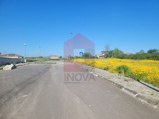 -290997920_2ac72da9-0bd7-40ee-8073-97f2faf9fa86.jpg