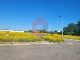 -290997922_e9936bd8-2079-4f50-bb49-6f546b8729fb.jpg