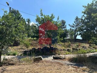 -291078306_d630bbbf-0419-4b61-9956-4d0a8f8b5f34.jpg