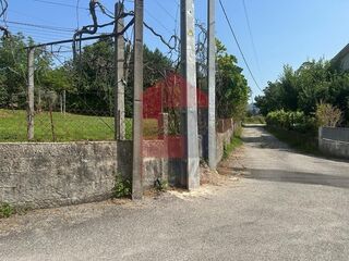 -291083300_c1c22be3-c49c-47b0-980c-2c6f5378bfac.jpg