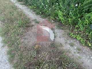 -291086868_72c24ebc-1522-45b3-94de-abe929ab4781.jpg