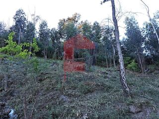 -291092834_f7ab0d29-5aec-4377-ba42-a3444966c8a8.jpg