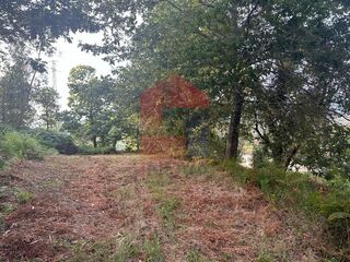 -291126679_ad01a013-aff6-4c9d-bd69-8f30d911db02.jpg