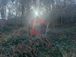-291193017_5d392474-e7a6-44a1-8cc7-a4ea2b2fd26e.jpg