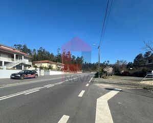 -291194408_062fb5a0-85c6-4327-933d-1ff012c8c0f5.jpg