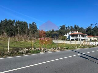 -291194408_21b6eea6-edda-47b8-9186-7bd49ca15d17.jpg