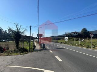 -291194414_ec0a1eb8-97fe-461f-a856-ca0b2a0d7b61.jpg