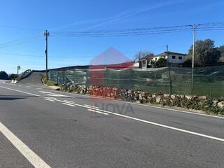 -291194418_abfc41d0-304e-48ac-ba1a-068740dd9975.jpg
