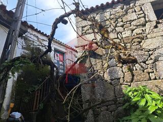 -291195540_2a49f6c7-89c8-49e4-8111-8add6ce4d237.jpg