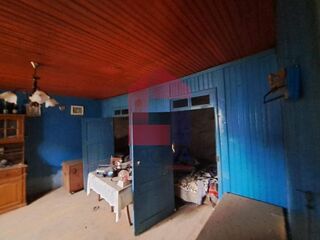 -291195540_9526ec38-a3c4-4d42-b906-d53241fe305e.jpg