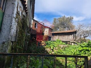 -291195540_f957152f-d19c-4eab-b649-945e0e0e6f78.jpg