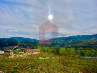 -291196627_b861d8c2-1bcf-42eb-a06f-ef9e42b078b9.jpg