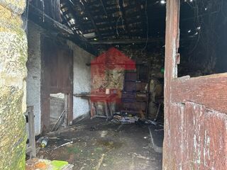 -291196676_538634d7-5088-4e7c-8a41-59af88ab274d.jpg