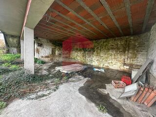 -291196676_823db3f3-d45c-4cba-ba81-ffadaf011f02.jpg