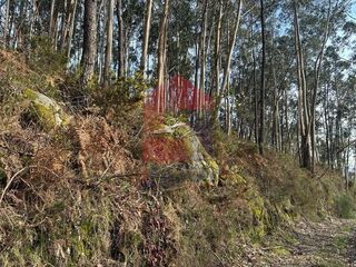 -291197162_2a45b94d-2c9c-4c86-b43b-56c511d38c7d.jpg