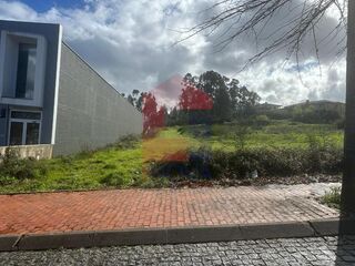 -291197492_d53475b2-97cf-4d15-9662-452fdbea0145.jpg