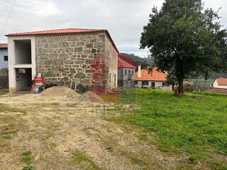 -291198353_6fde379a-f13d-44d3-90b1-be050724d2d8.jpg