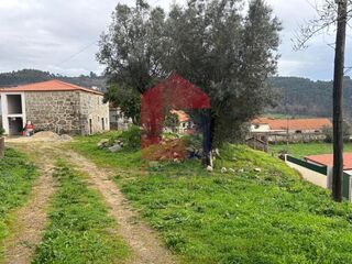 -291198353_ecd49a6d-eeb2-4b96-b866-ba90039eac96.jpg