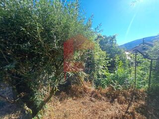 -291211269_57937ba8-4b19-43b3-ad98-fc7b30f04fae.jpg