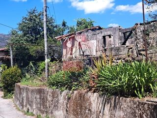 -291211269_d0ac47ae-0520-4546-94b1-bba43980d6f0.jpg