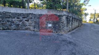 -291212776_a01bce82-b989-4f49-bc14-06c8a4659e0b.jpg