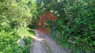 -291213115_84029a3e-09ed-47d5-b030-0c2130657f5d.jpg