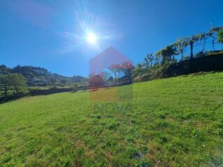-291214478_9547a1c6-0f43-4d70-b583-2138aff74d3b.jpg