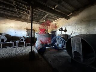 -291216882_19a986ca-a0ee-4e56-9238-f3a7af627ef1.jpg