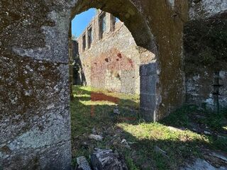 -291216882_405bf5c6-583b-4249-b954-971ae839f1e1.jpg