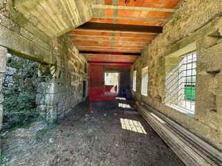 -291216882_ac65ef29-ab87-4b41-9be3-f16ceb17e636.jpg