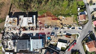 -291218684_b8c871ab-0008-4bd0-b10f-b396af9a0a07.jpg