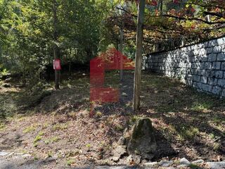 -291219477_06932ac7-3984-4ada-8dd8-43760e873759.jpg