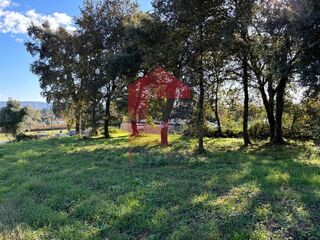 -291222897_abca88f2-3667-4640-8b97-7b2bccd5d0f6.jpg
