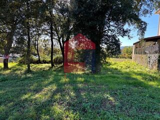 -291222897_ca036f4e-e7db-4302-b831-f92c315736d4.jpg