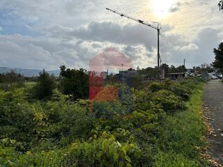-291223449_558199a8-156b-4fe3-84b2-89c02d7dee6b.jpg