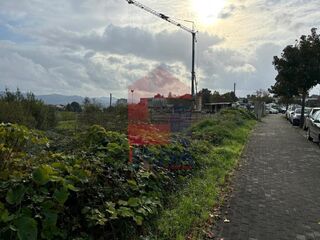 -291223449_beca9512-fcc4-4d3d-a120-3e81eb0e4bd7.jpg