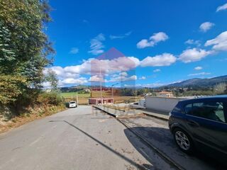 -291223679_86329e41-a6d9-4830-baf8-d3c53552f7b0.jpg
