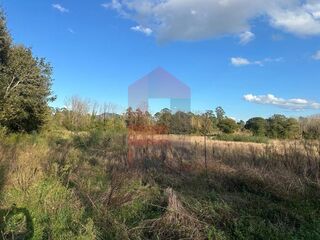 -291224169_031f77ad-b0ff-4bcb-ae82-93d40a3637ed.jpg