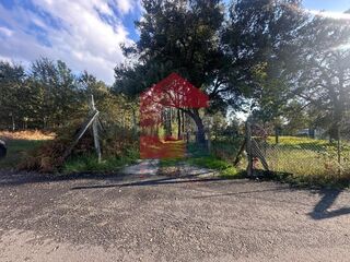 -291224169_fa69d1d3-32ac-4407-8f60-addf0468a8a1.jpg