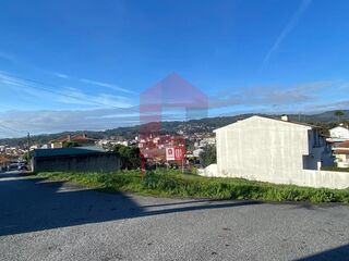 -291224495_aac1f412-d3c2-4dfe-b246-5a5837d87365.jpg