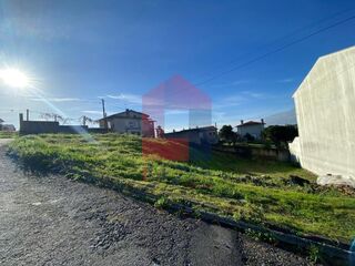 -291224495_b32a8829-b10d-4cb1-beb4-cf8049905c4b.jpg